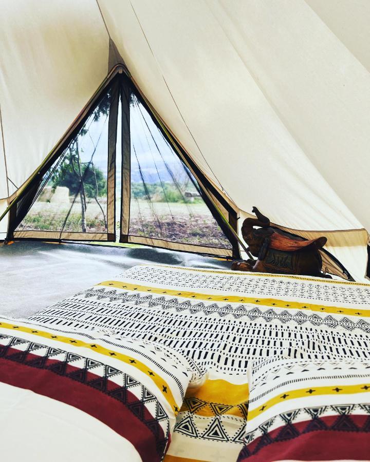 Les Petites Bulles De Massier Hotell Vienne  Exteriör bild
